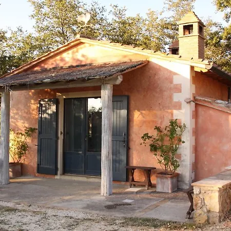 Villavetrichina